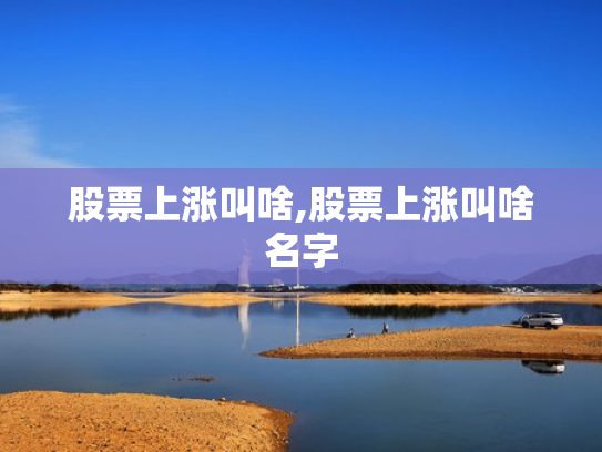 股票上涨叫啥,股票上涨叫啥名字