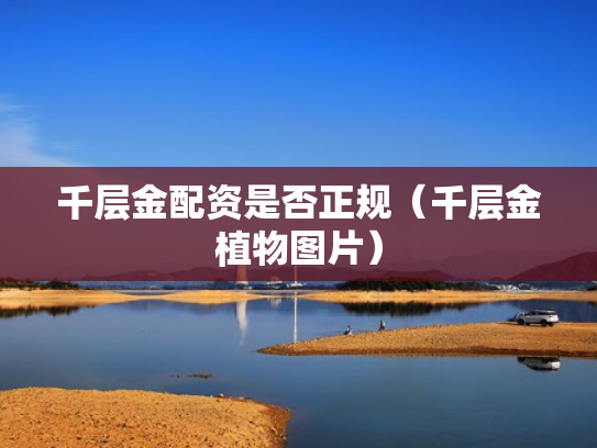 千层金配资是否正规（千层金植物图片）