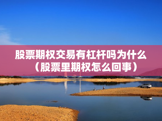 股票期权交易有杠杆吗为什么（股票里期权怎么回事）