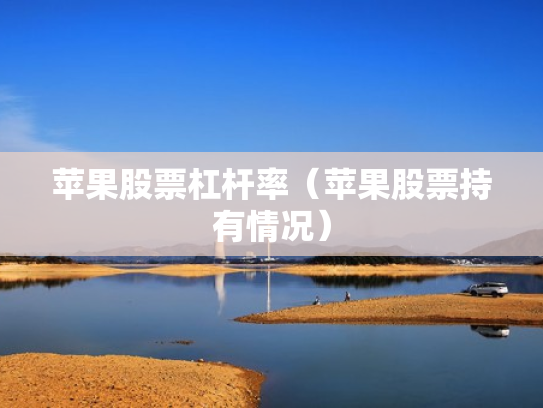 苹果股票杠杆率（苹果股票持有情况）