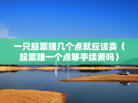 一只股票赚几个点就应该卖（股票赚一个点够手续费吗）