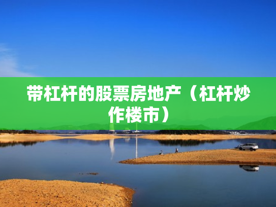 带杠杆的股票房地产（杠杆炒作楼市）