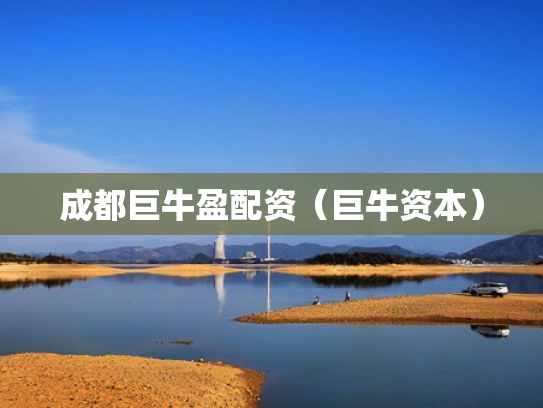 成都巨牛盈配资（巨牛资本）
