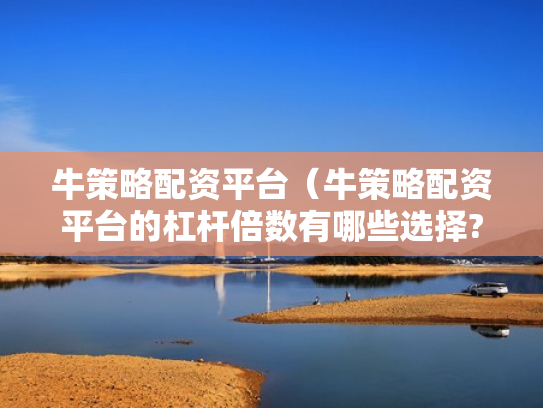 牛策略配资平台（牛策略配资平台的杠杆倍数有哪些选择?）