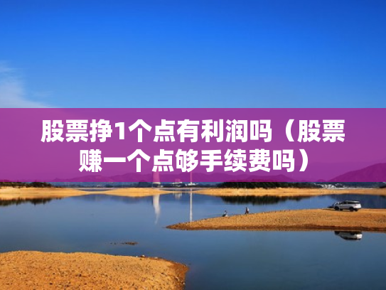 股票挣1个点有利润吗（股票赚一个点够手续费吗）