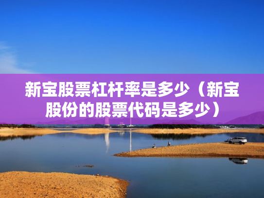 新宝股票杠杆率是多少（新宝股份的股票代码是多少）