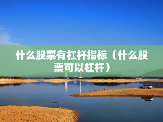 什么股票有杠杆指标（什么股票可以杠杆）
