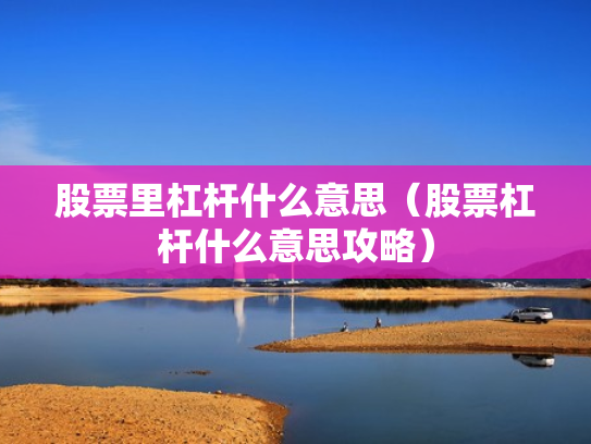 股票里杠杆什么意思（股票杠杆什么意思攻略）